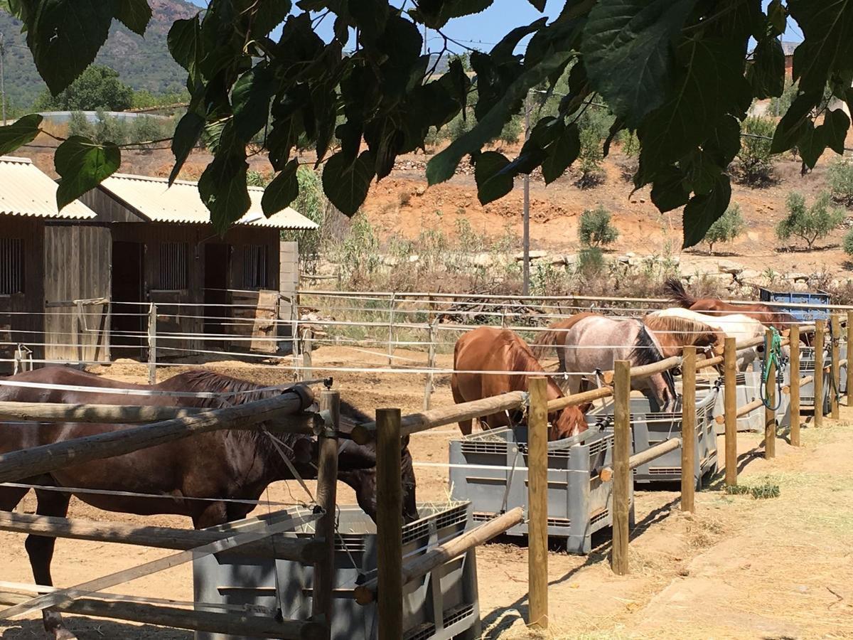 Country house Mas Perdiueta